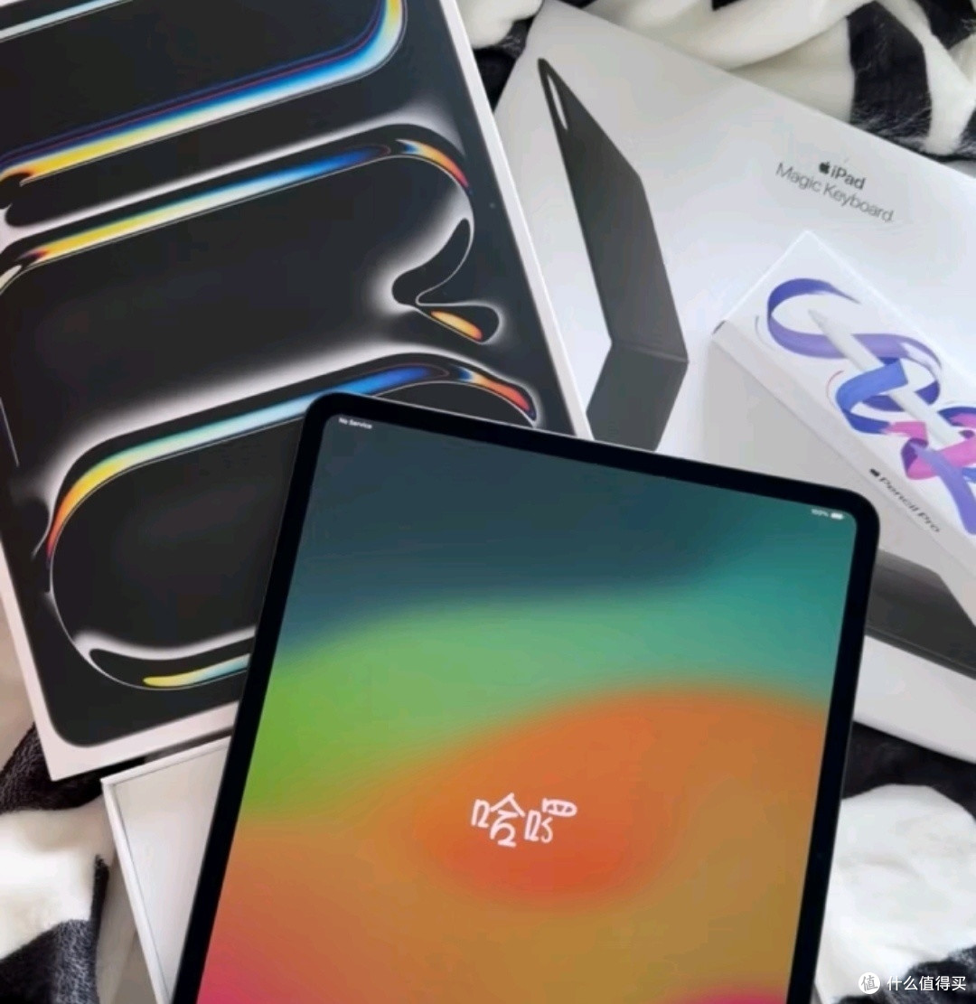 Apple iPad Pro 11英寸 M4芯片 256G WLAN 平板电脑